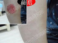 ɨ�������м������Ӧ��